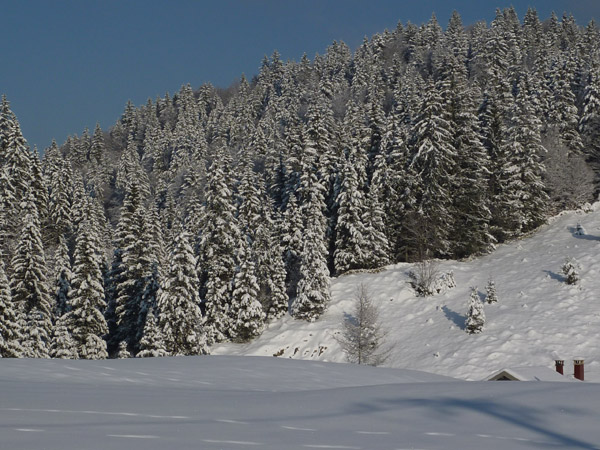 http://metalmidinette.free.fr/img/neige1-1.jpg