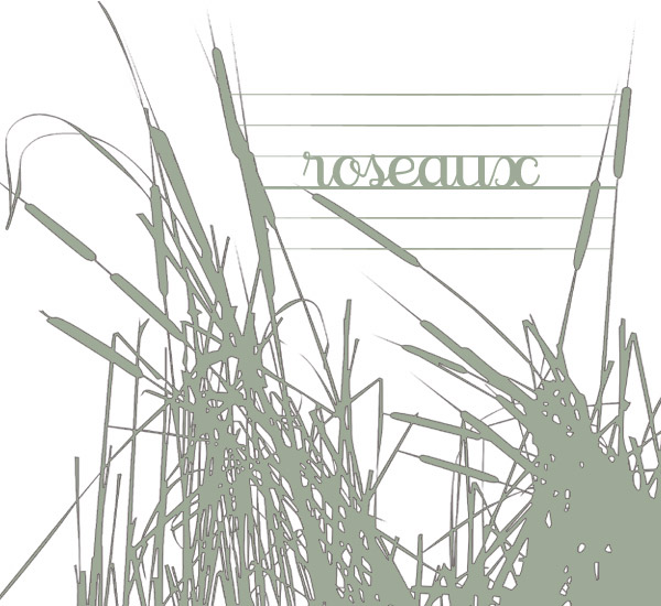 http://metalmidinette.free.fr/img/roseaux-72.jpg